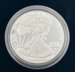 U.S. Mint 2023-W American Eagle One Ounce Silver Proof Coin w/ COA