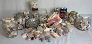lot 196 image: Large Assortment of Seashells