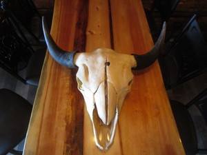 lot 45 image: Bison Skull