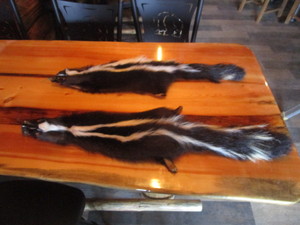 lot 46 image: (2) Skunk Pelts