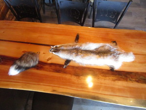 lot 50 image: Badger Pelt & Tail