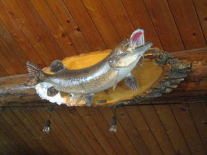 lot 74 image: Northern Mount