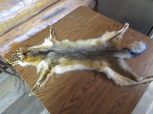 lot 246 image: Fox Pelt