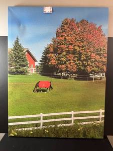 lot 30 image: Signed 40x30 Barn and Horse Framed Canvas Photo Artwork by Byron 2016