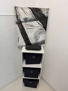 lot 214 image: Abstract Canvas Wall Art with Display Stand and 3-Compartment Storage Shelf