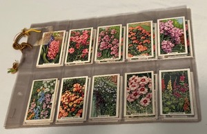 lot 62A image: 1938 Gallaher Garden Flowers 48 Card Vintage Cigarette Card Set