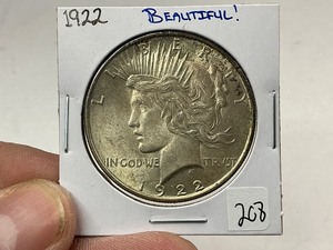 lot 208 image: 1922 Peace Silver Dollar