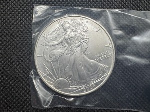 lot 68 image: 2004 1 Oz. American Silver Eagle
