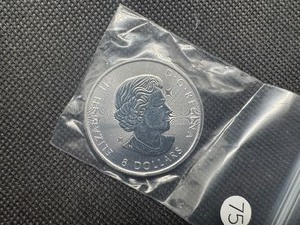 lot 75 image: BU 2018 1.25 Oz. .9999 Silver Canadian Buffalo Coin