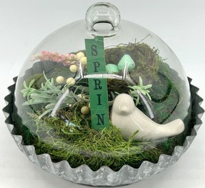 lot 76 image: Spring Terrarium - Glass Dome with Moss, Nest & Ceramic Bird