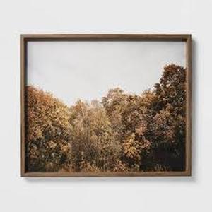 lot 91 image: 36 x 30 Golden Forest Framed Wall Art Modern Decor, MDF & Glass - Threshold