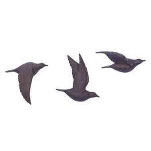 Polystone Bird Metallic 3D Sculpted Wall Decor Set of 3 Brown