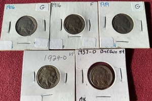 lot 53 image: (5) Buffalo Nickels