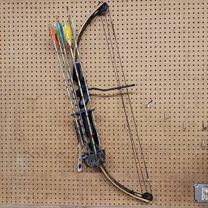 lot 165 image: Force II Magnum - compound bow - by Pro Line. Quiver and Five arrows included