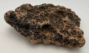 lot 9 image: Large Collectible Lava Rock 8 x 9 12