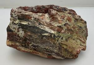 lot 195 image: Possible Jasper Or Petrified Wood  Heavy 7 Tall x 5