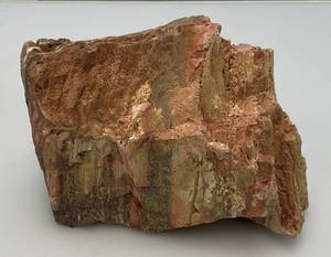 lot 200 image: Petrified Wood  Heavy 4 12 Tall x 6 x 4