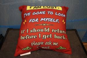 lot 24 image: Novelty Throw Pillow