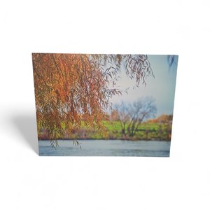 lot 115 image: Framed Artwork