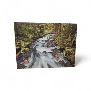 lot 124 image: Stretched Canvas Artwork