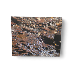 lot 130 image: Stretched Canvas Framed Artwork