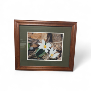 lot 157 image: Framed Artwork