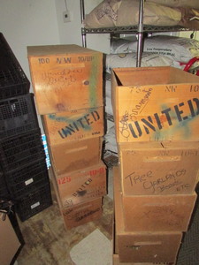 lot 219 image: Airline Flower Totes