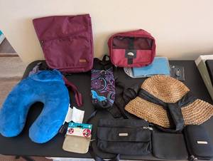 lot 241 image: Travel Accessories Collection Including Baggalini Bags, Neck Pillow, Organizer, and Hat