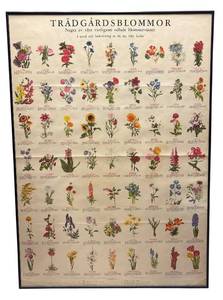 lot 155R image: FR - Vintage Trdgrdsblommor Framed Botanical Chart
