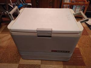 lot 167 image: Igloo Koolmate 36 with AC Adapter