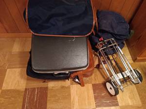 lot 170 image: Luggage Lot