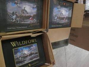 lot 154 image: Large lot of Waterfowl of America b...