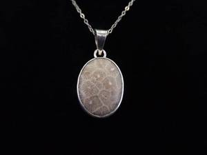 lot 31 image: .925 Sterling Silver Petoskey Stone Cabochon Pendant Necklace
