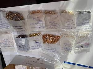 lot 59J image: Assorted Freshwater Pearls and Pearl Beads Collection in Storage Box