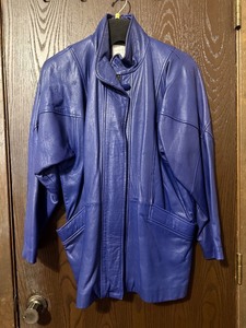 lot 54C image: Nordstrom Town Square Blue Leather Jacket - PS - Full Zip, Stand Collar