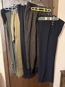 lot 82C image: Assorted Womens Pants (Lot of 5) - AK Anne Klein, Apt 9, NY & Co, Deane & White, Willi Smith LeopardKhakiOlive