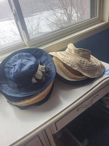 lot 233C image: Hats - Assorted Straw & Felt Collection (Nine West, Filippo Catarzi) Made in Italy