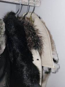 lot 291C image: Coat and Vest lot - New York & Co and Regent Park brands for women