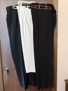 lot 95C image: BRIGGS New York, Field Gear, and Unbranded Pants (Lot of 3) Size 14 Black & White