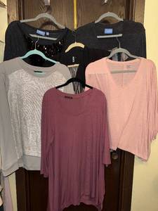 lot 188C image: Collection of Womens Tops from Banana Republic, Simply Vera Vera Want,  Emily Blu and other brands - Size L