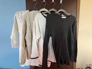 lot 259C image: Knit Sweaters - H&M, Jones New York Sport, Casual Corner (Lot of 4)