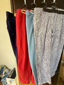 lot 447C image: Assorted Womens Pants - Dana Buchman, Chaus, Time & Tru, Riders by Lee (Lot of 4)