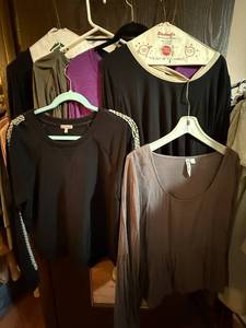 lot 481C image: Ann Taylor, Jennifer Lopez & Apt 9 Tops - Womens Knit Blouses & Tees