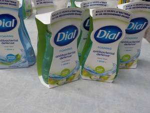 lot 91 image: 6 Dial Foaming Antibacterial handwa...