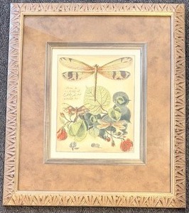 lot 82A image: Raschella Collection Dragon Flies II - Framed Print 25 x 29