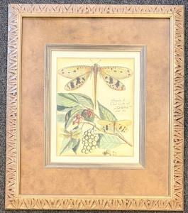 lot 82B image: The Raschella Collection Dragon Flies I Framed Print - 25 x 29