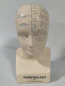 lot 14 image: L.N. Fowler Phrenology Head Bust