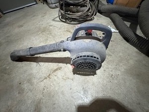lot 29 image: Gas Power Leaf Blower