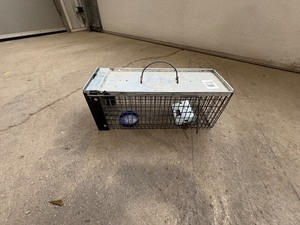 lot 78 image: Live Trap