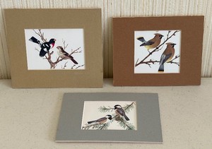 lot 26 image: Set of 3 Matted Bird Prints